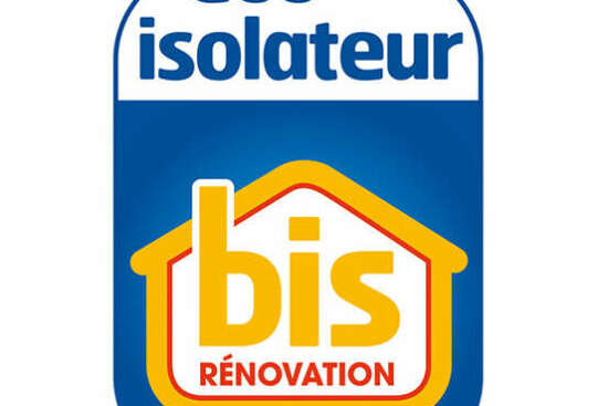 BIS RENOVATION LOGO