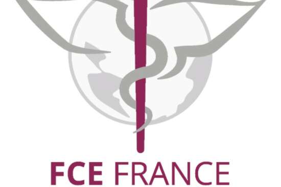 FEMMES CHEFS D'ENTREPRISE LOGO